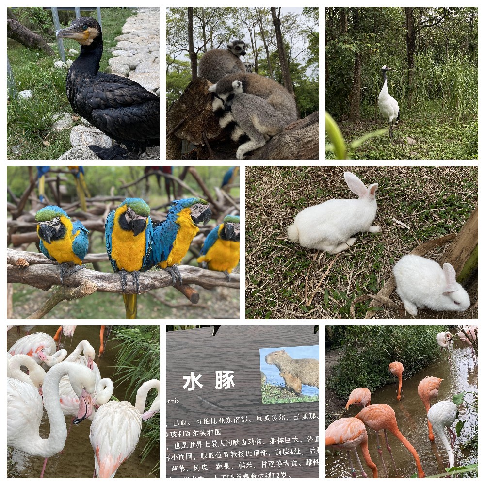 厚积薄发，蓄力前行：大手牵小手，共圆实佳梦